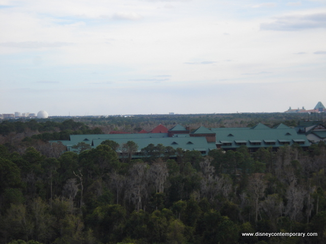 Wilderness Lodge and Epcot View