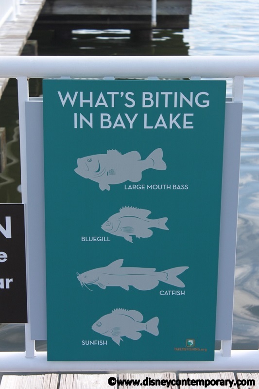 What\'s Biting in Bay Lake