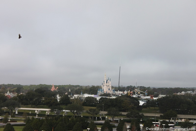 Magic Kingdom View from Tower