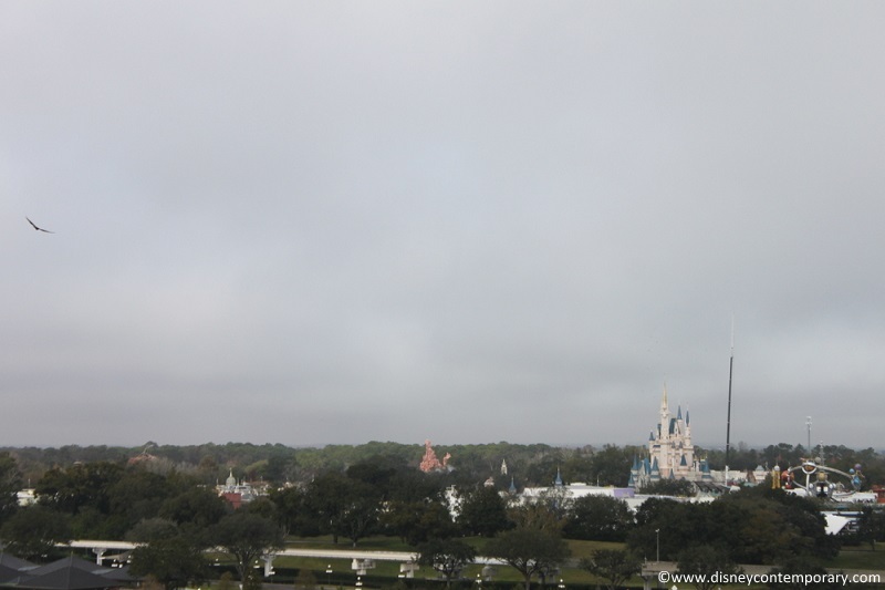 Another Magic Kingdom view from Tower