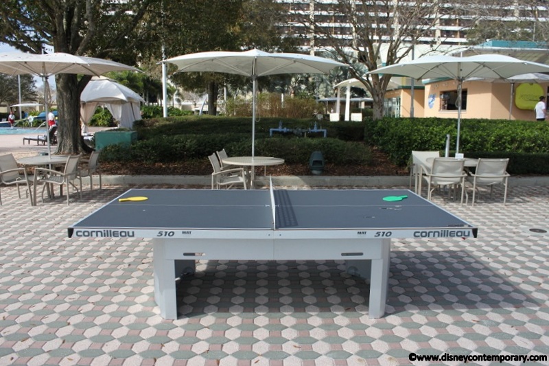 Ping Pong by the Pool